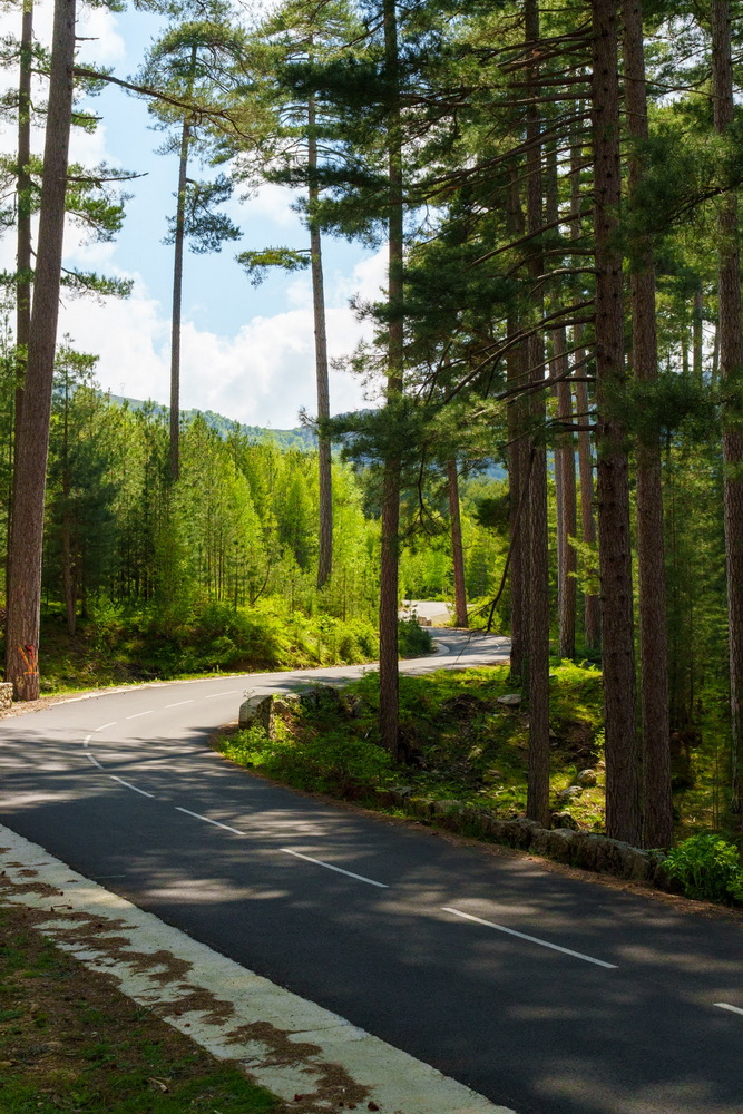 Rallye touristique - Tour de la Corse en supercars