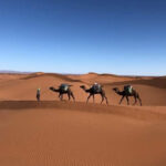 Agadir, Merzouga ou Ouarzazate : quelle région pour un raid buggy ?