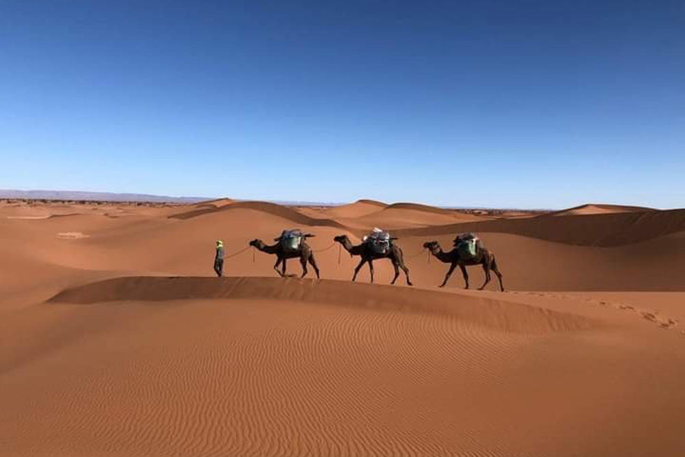 Raid off-road SSV Ouarzazate - Le Titanic