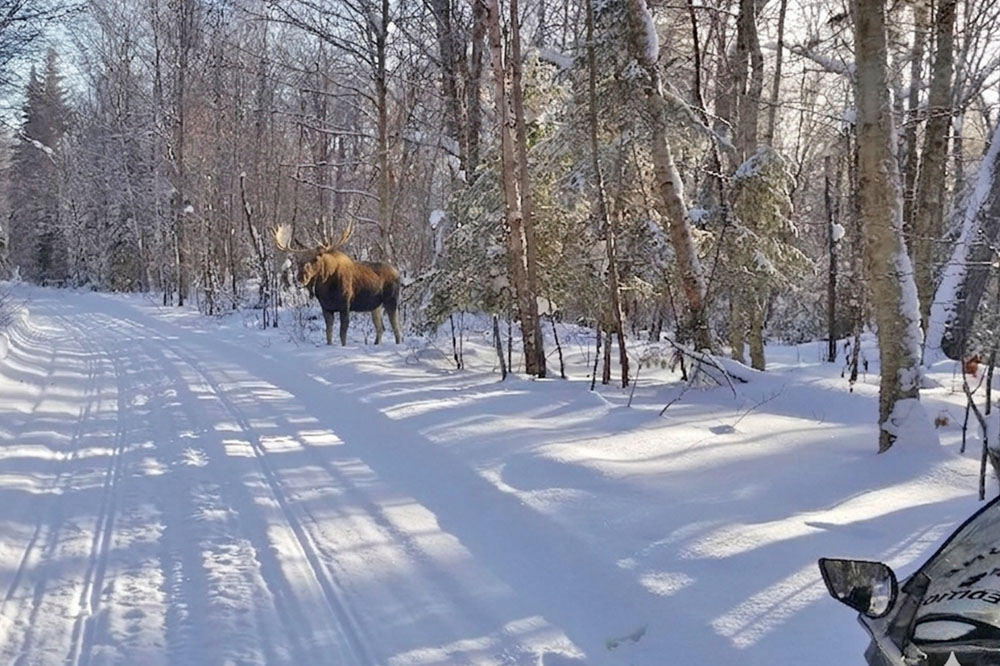 Raid off-road SSV à Merzouga, au Maroc, en CanAm 1000 X3 Turbo